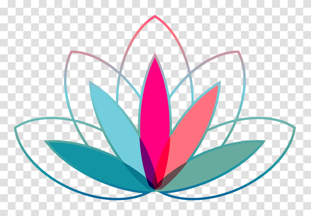 The Value Of Breath And Breathing Colleen Koncilja Lcsw, Plant, Flower, Blossom Transparent Png