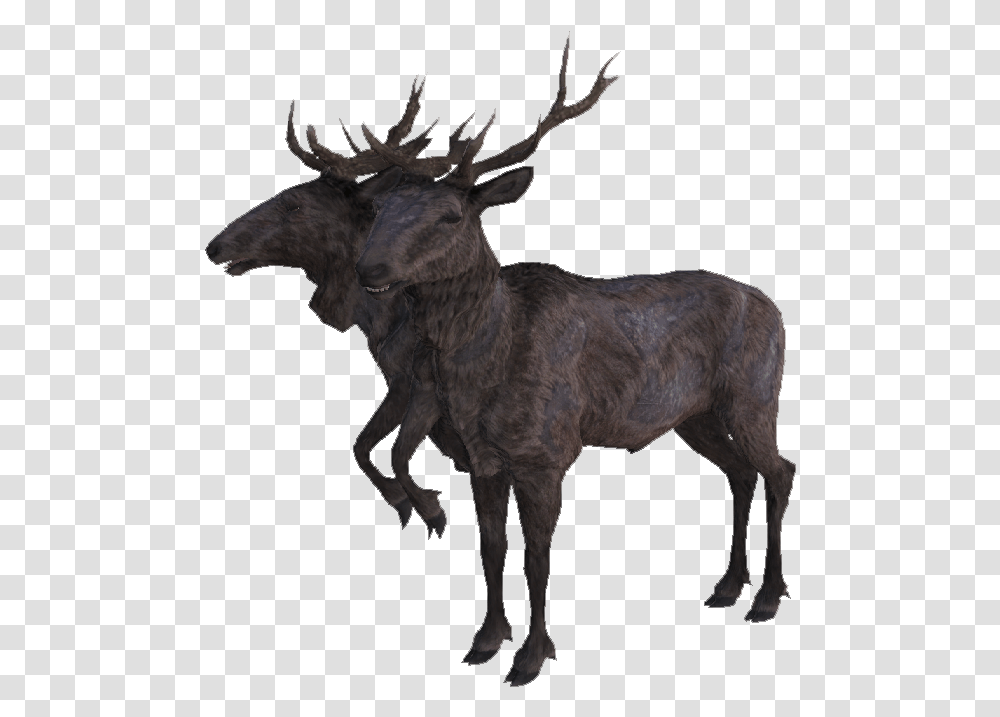 The Vault Fallout Wiki Radstag Yearling Fallout, Antelope, Wildlife, Mammal, Animal Transparent Png