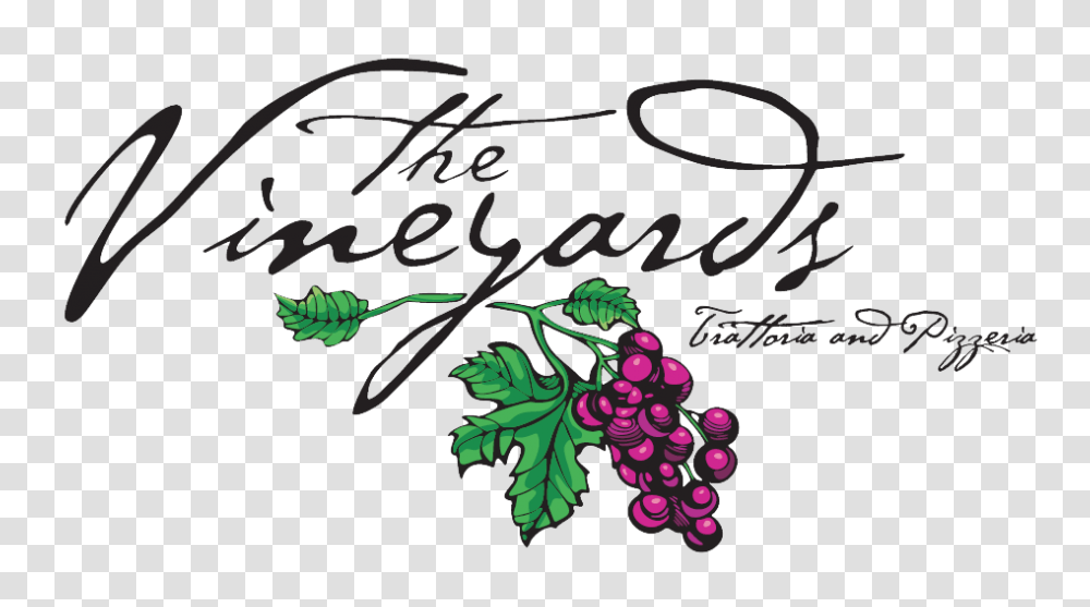 The Vineyards Trattoria And Pizzeria, Plant, Grapes, Fruit Transparent Png