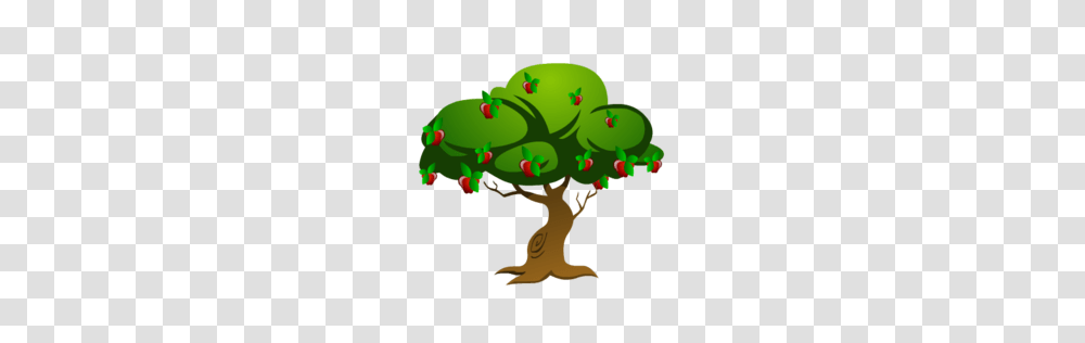 The Virtual Woodland, Plant, Tree, Food, Toy Transparent Png