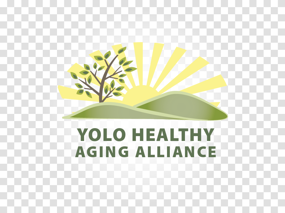 The Voice For Older Adults In Yolo County Graphic Design, Plant, Label, Jar Transparent Png