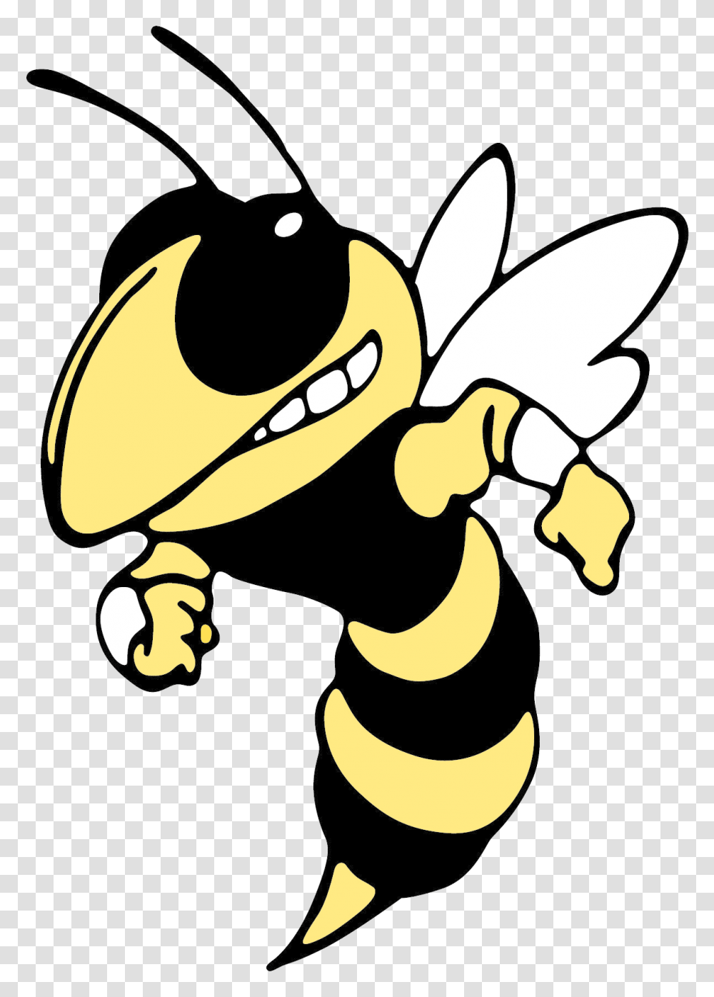 The Weaver Bearcats Defeat The Glencoe Yellow Jackets, Wasp, Bee, Insect, Invertebrate Transparent Png