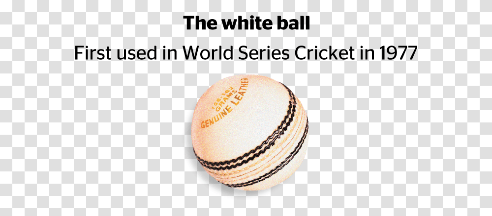 The White Ball Cricket, Balloon Transparent Png