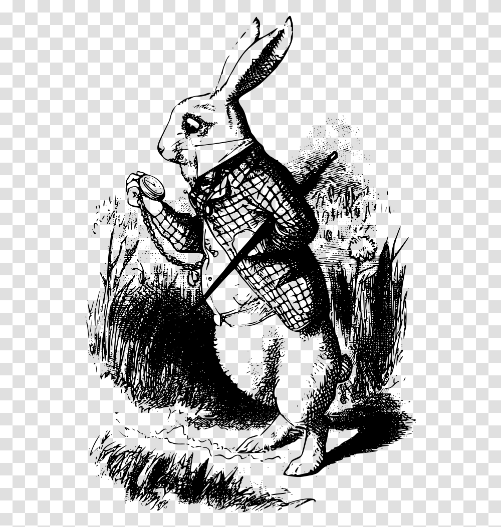 The White Rabbit White Rabbit Alice In Wonderland Book, Gray, World Of Warcraft Transparent Png