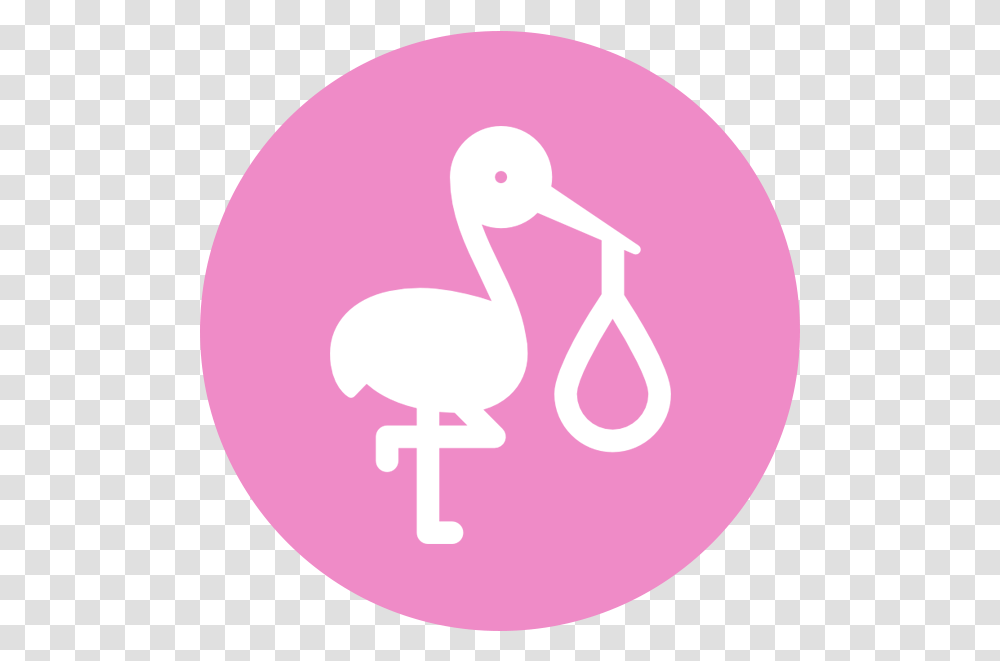 The Whole Mum Foods Girly, Animal, Bird, Flamingo, Balloon Transparent Png