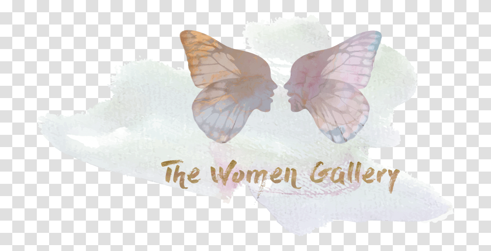 The Women Gallery Pieridae, Nature, Animal, Petal, Flower Transparent Png