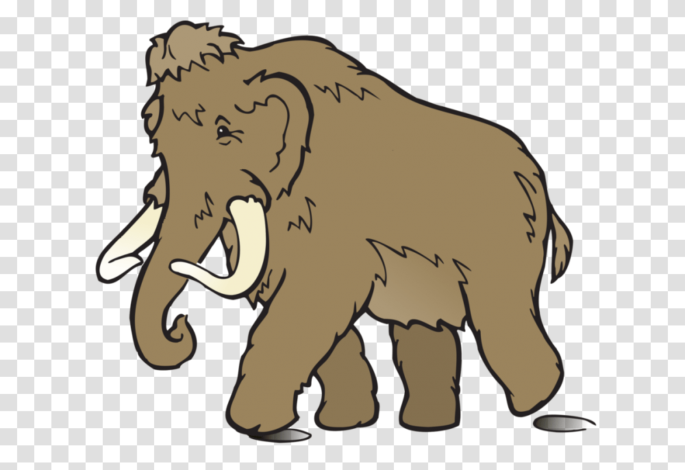 The Woolly Mammoth Drawing Mammal, Elephant, Wildlife, Animal, Ivory Transparent Png