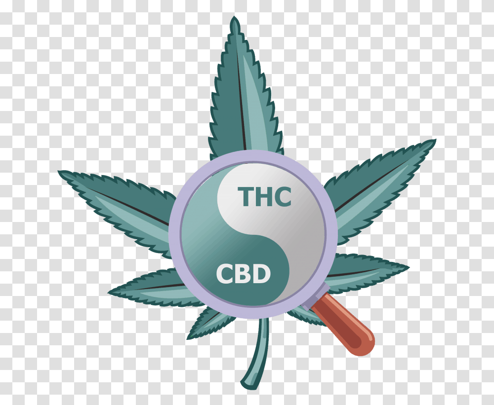 The Yin Amp Yang Of Cannabis Label, Plant, Leaf, Bird Transparent Png