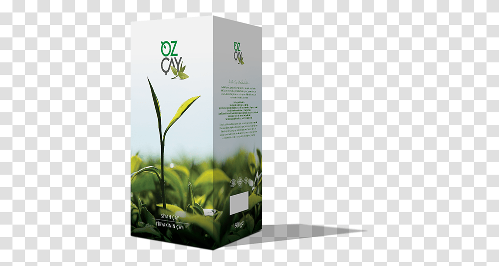 Theic Brochure, Flyer, Poster, Paper, Advertisement Transparent Png