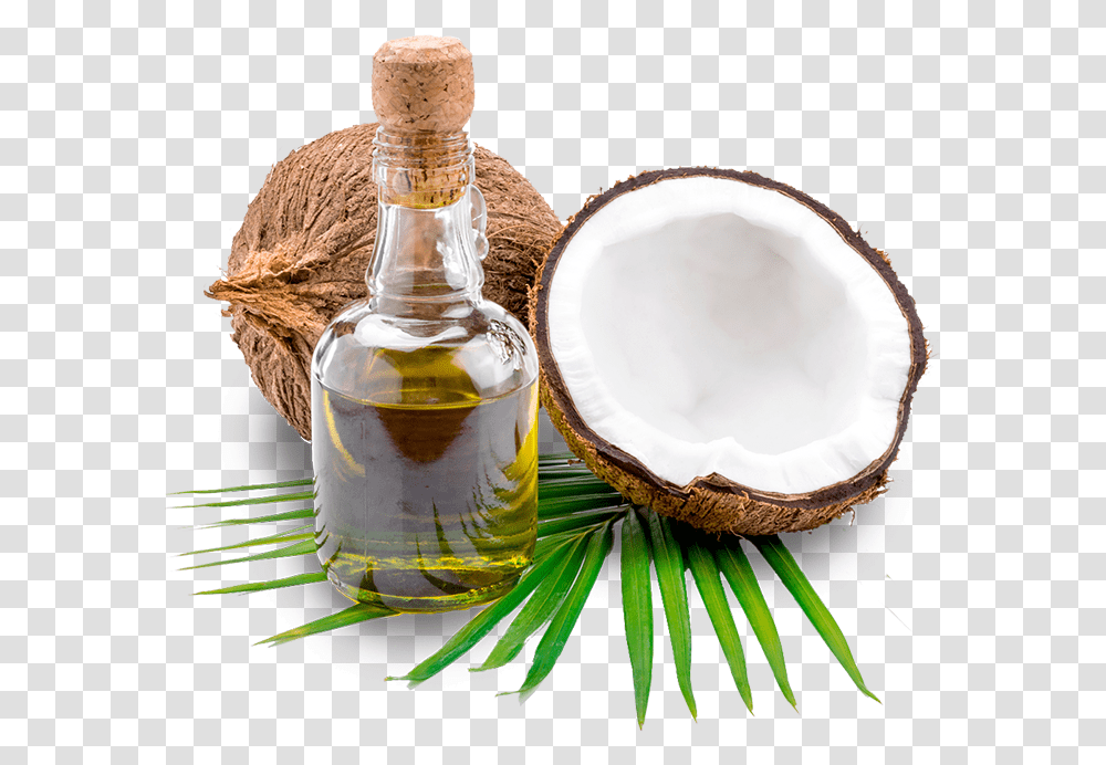 Thenarasu Coconut Oil Background Coconut Oil, Plant, Vegetable, Food, Fruit Transparent Png