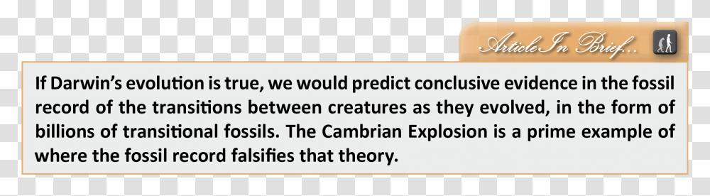 Theories On The Cambrian Explosion, Face, Female Transparent Png
