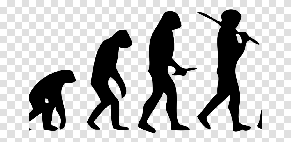 Theory Of Evolution Falls Apart Monkey To Human Stages, Gray, World Of Warcraft Transparent Png