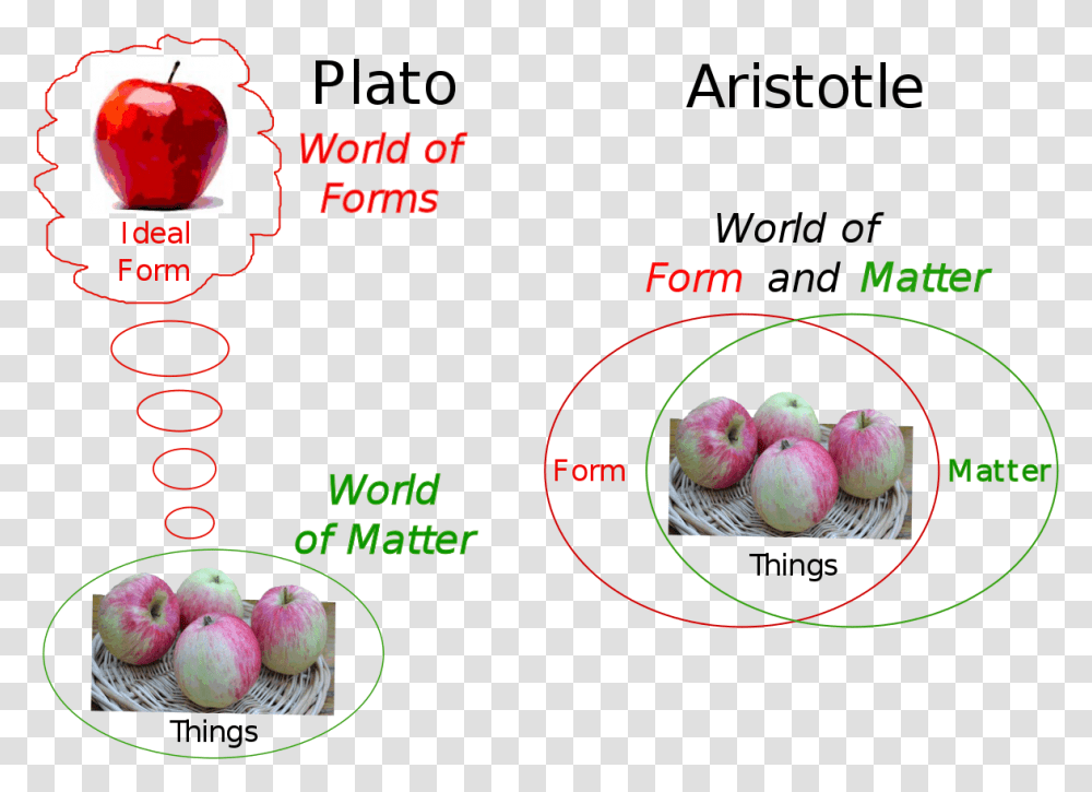 Theory Of Universals, Nature, Plant, Outdoors, Sphere Transparent Png