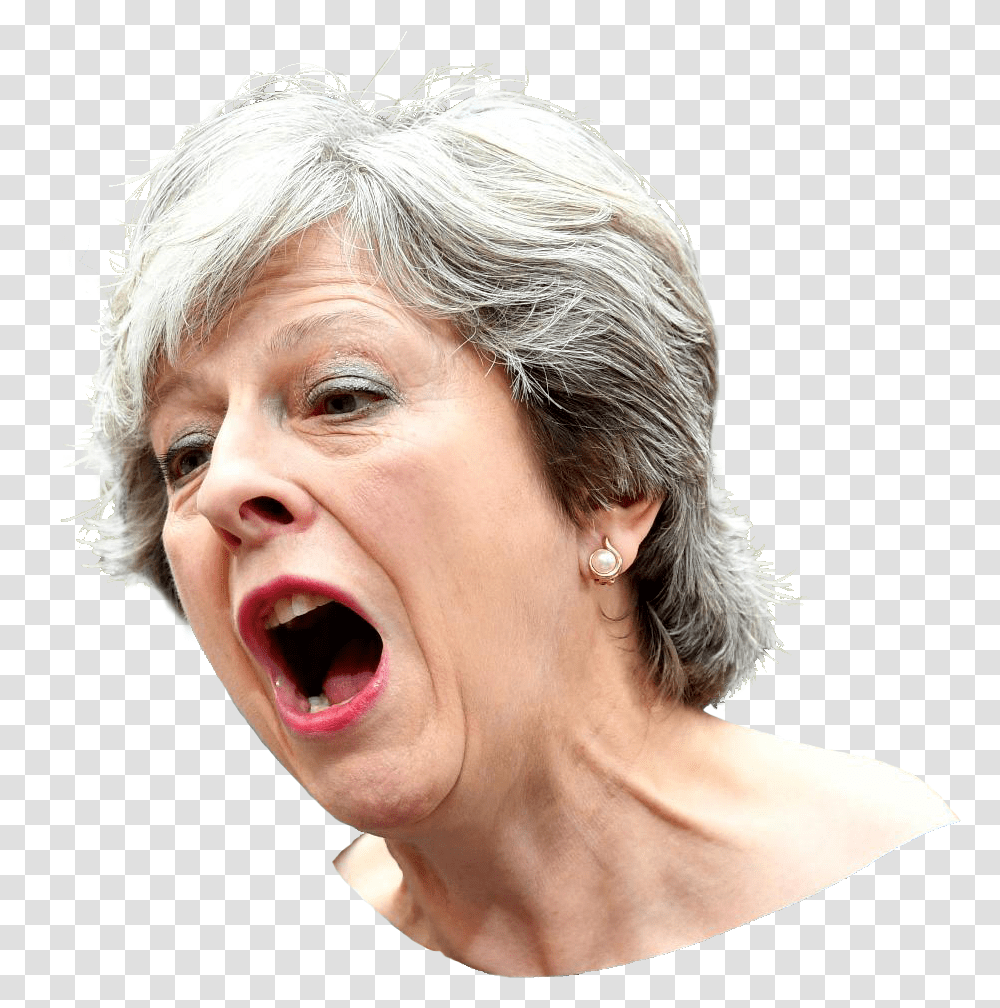 Theresa May, Face, Person, Audience, Crowd Transparent Png