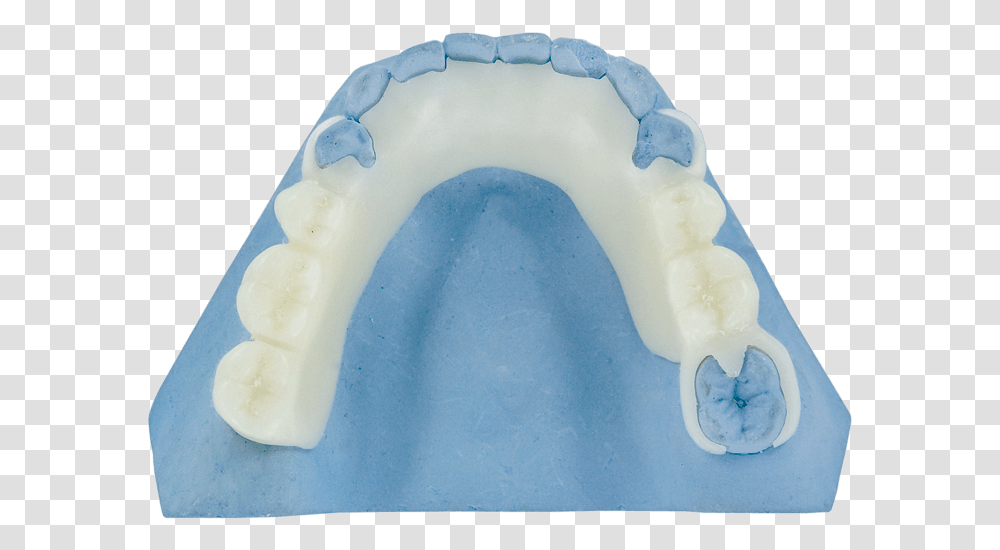 Thermoflex Arch, Teeth, Mouth, Outdoors, Cat Transparent Png