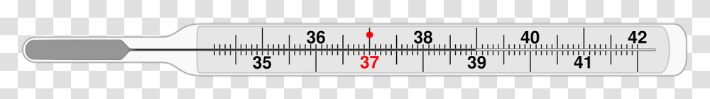 Thermometer, Number, Plot Transparent Png