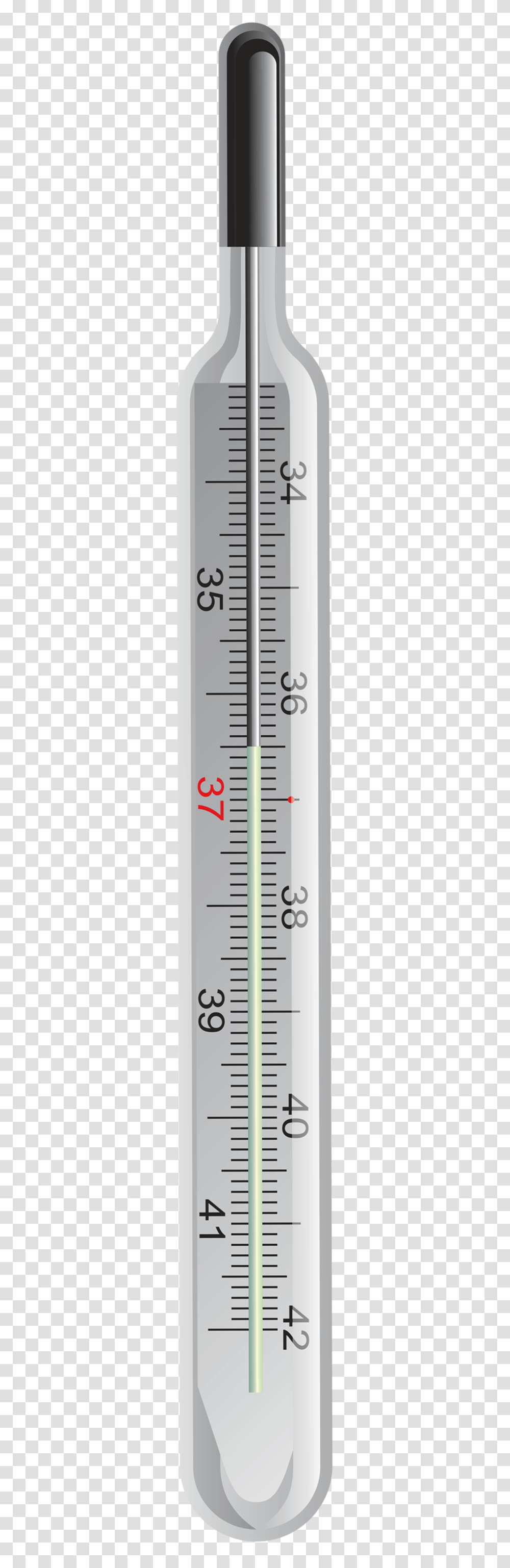 Thermometer, Plot, Diagram, Measurements, Cup Transparent Png