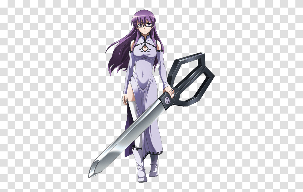 These 36 Purple Haired Anime Girls Are So Damn Interesting Akame Ga Kill Characters Sheele, Manga, Comics, Book, Person Transparent Png