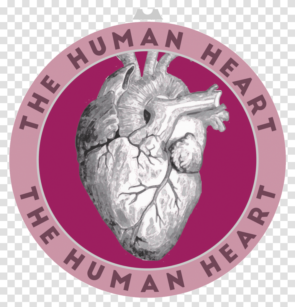 They Are Part Of Our Circulatory System And They Are Human Heart, Logo, Trademark, Poster Transparent Png