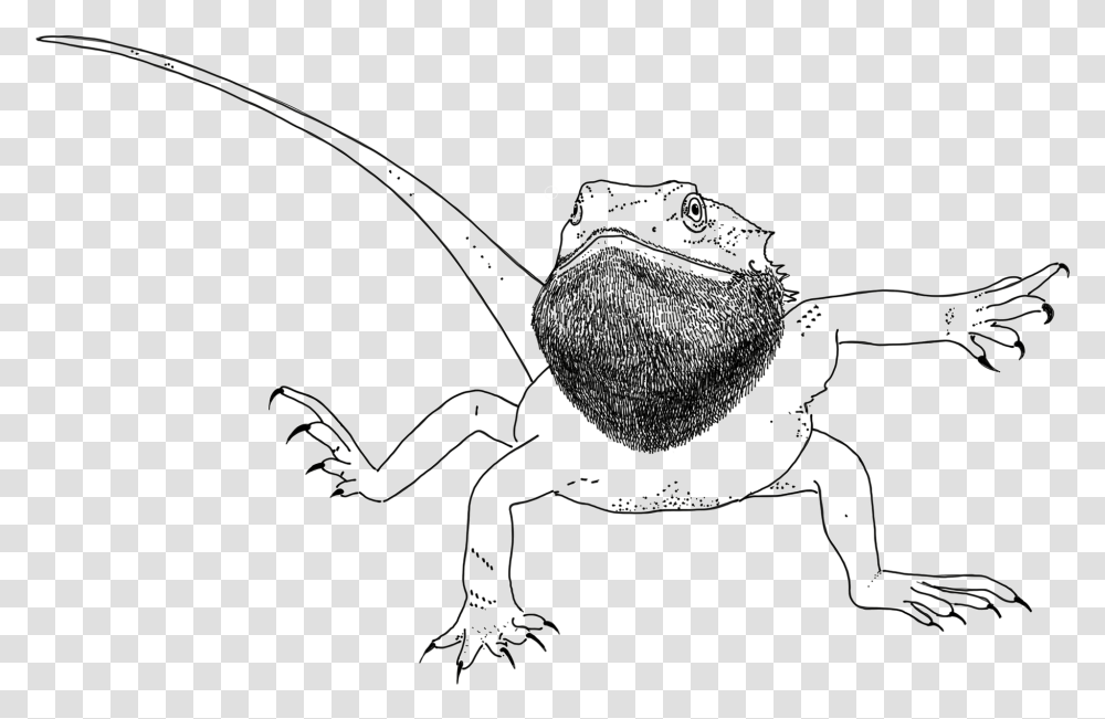 Thick Lines Bearded Dragon Hot Sauce, Invertebrate, Animal, Insect, Cricket Insect Transparent Png