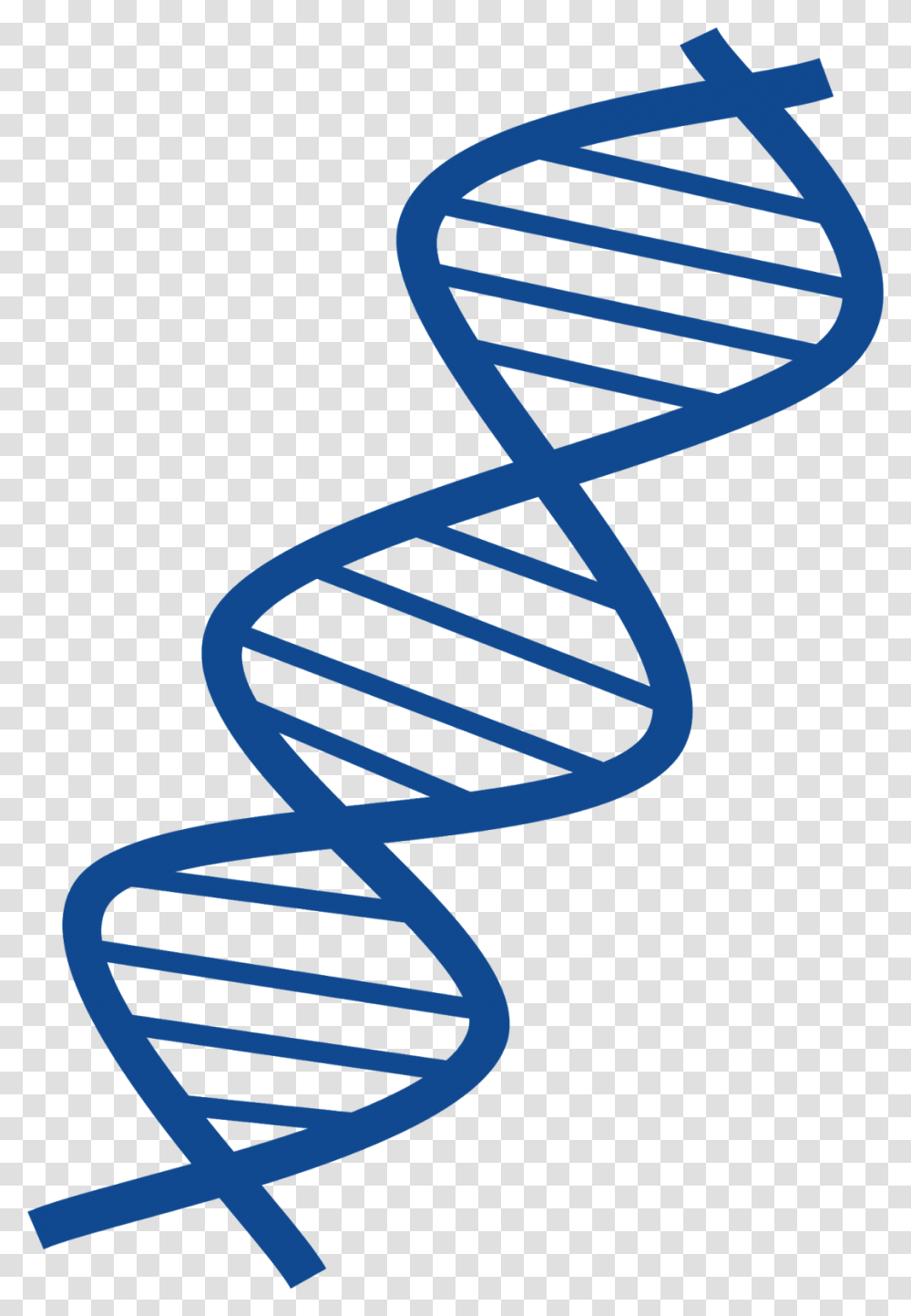 Thin And Blue Dna Image Dna Clipart, Spiral, Coil, Alphabet Transparent Png