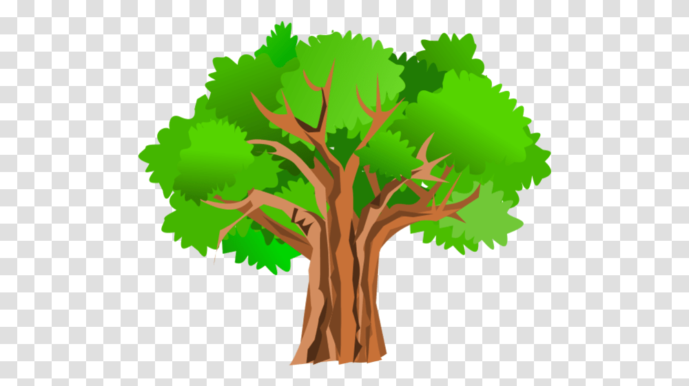 Thin And Thick Tree Clipart, Plant, Leaf, Oak, Tree Trunk Transparent Png