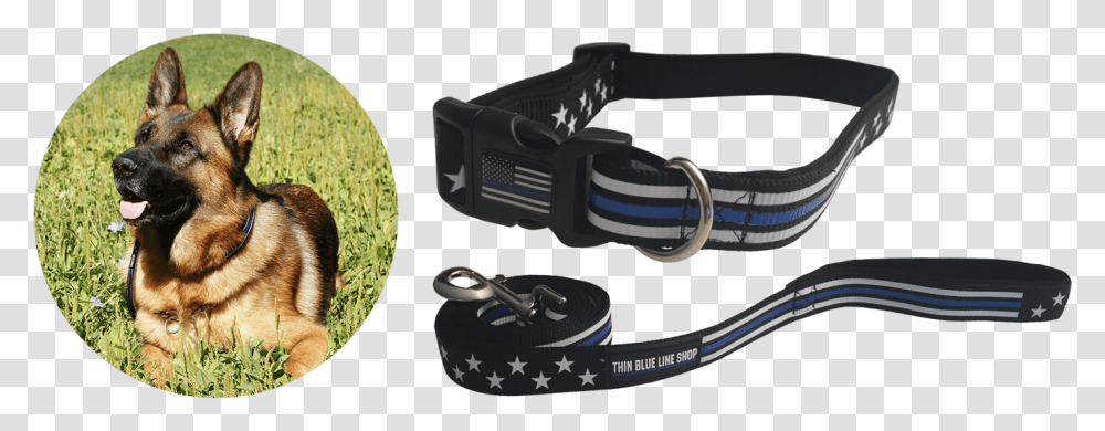 Thin Blue Line Police Dog Collar Dog Supplies Strap, Pet, Canine, Animal, Mammal Transparent Png