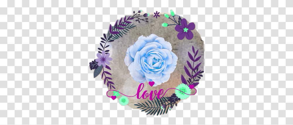 Think About Your Reltives Flower Frame 16 9, Plant, Porcelain, Pottery Transparent Png