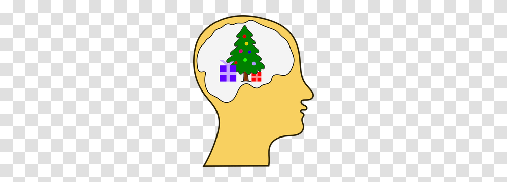 Thinking Cap Clip Art, Tree, Plant, Ornament, Christmas Tree Transparent Png