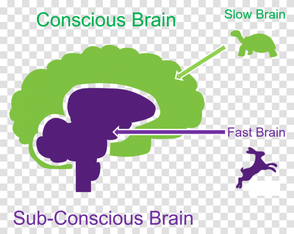 Thinking Fast And Slow Brain, Poster, Advertisement, Plot Transparent Png