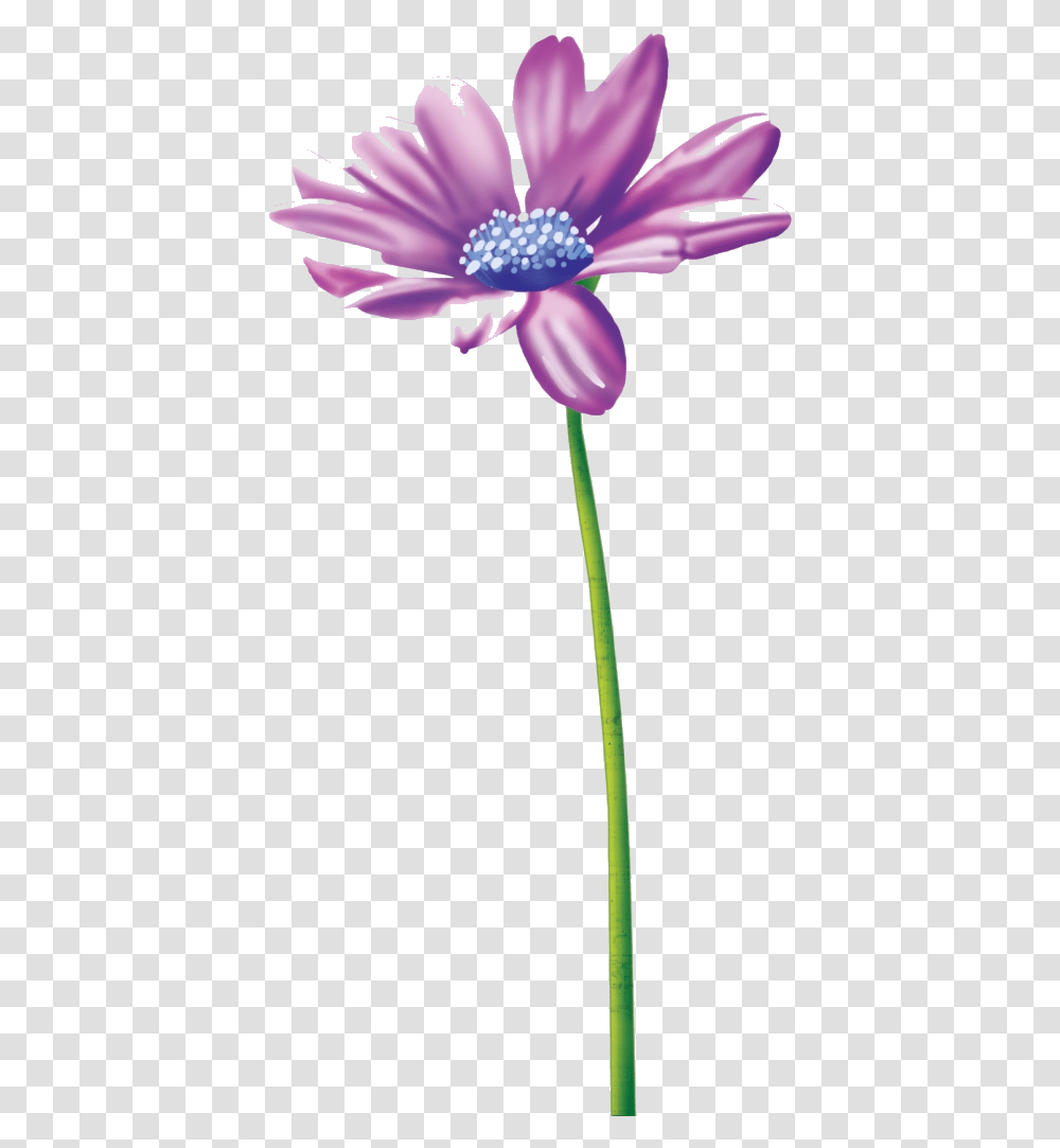Thinking Of You Flower Clipart Tube Clip Art Stationery African Daisy, Plant, Blossom, Petal, Orchid Transparent Png