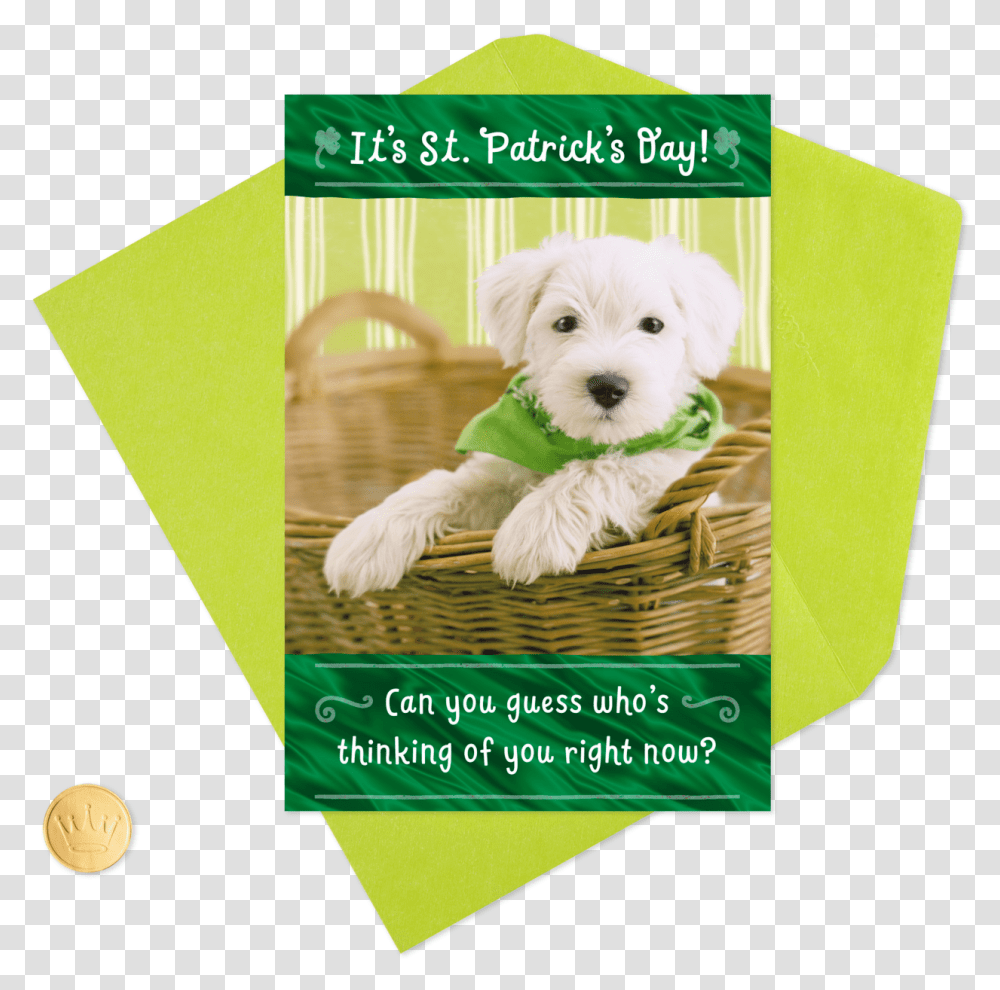 Thinking Of You Puppy Dog St Companion Dog, Poster, Advertisement, Flyer, Paper Transparent Png