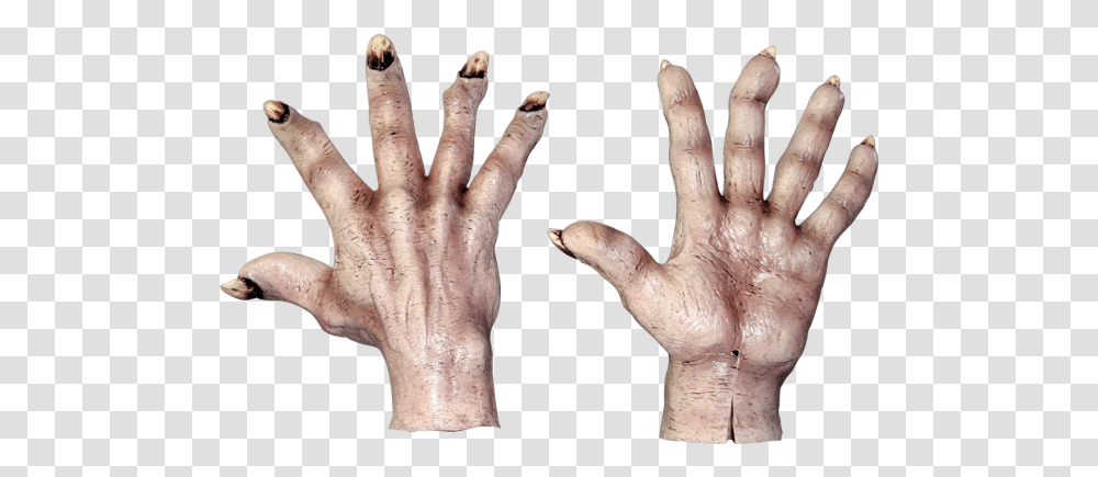 This Alt Value Should Not Be Empty If You Assign Primary Hand Monster, Finger, Person, Human, Wrist Transparent Png