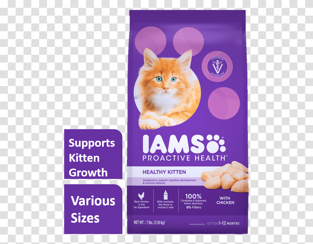 This Alt Value Should Not Be Empty If You Assign Primary Iams Kitten Food, Advertisement, Poster, Flyer, Paper Transparent Png