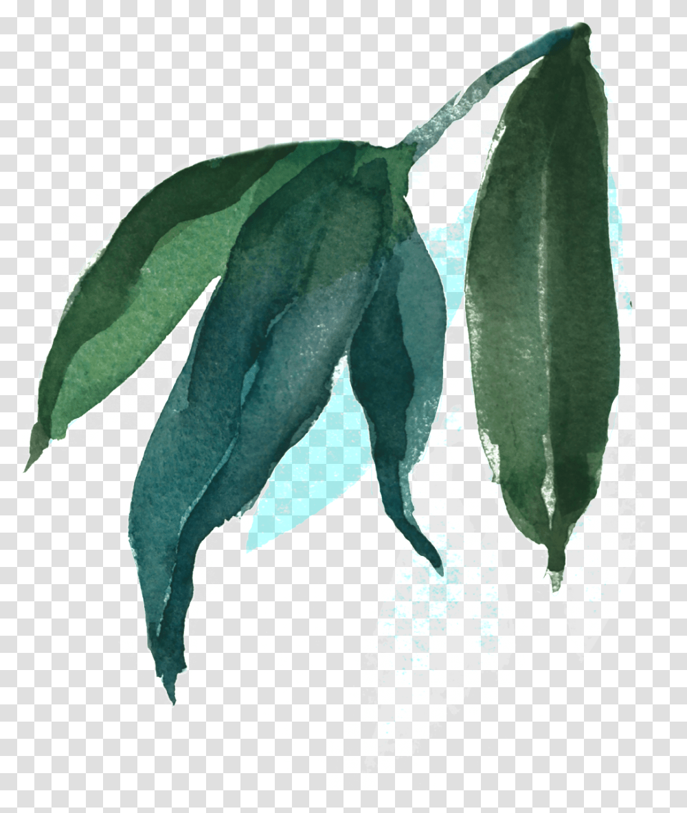 This Backgrounds Is Watercolor Painting Leaves Background Blue Watercolor Leaf, Plant, Animal Transparent Png