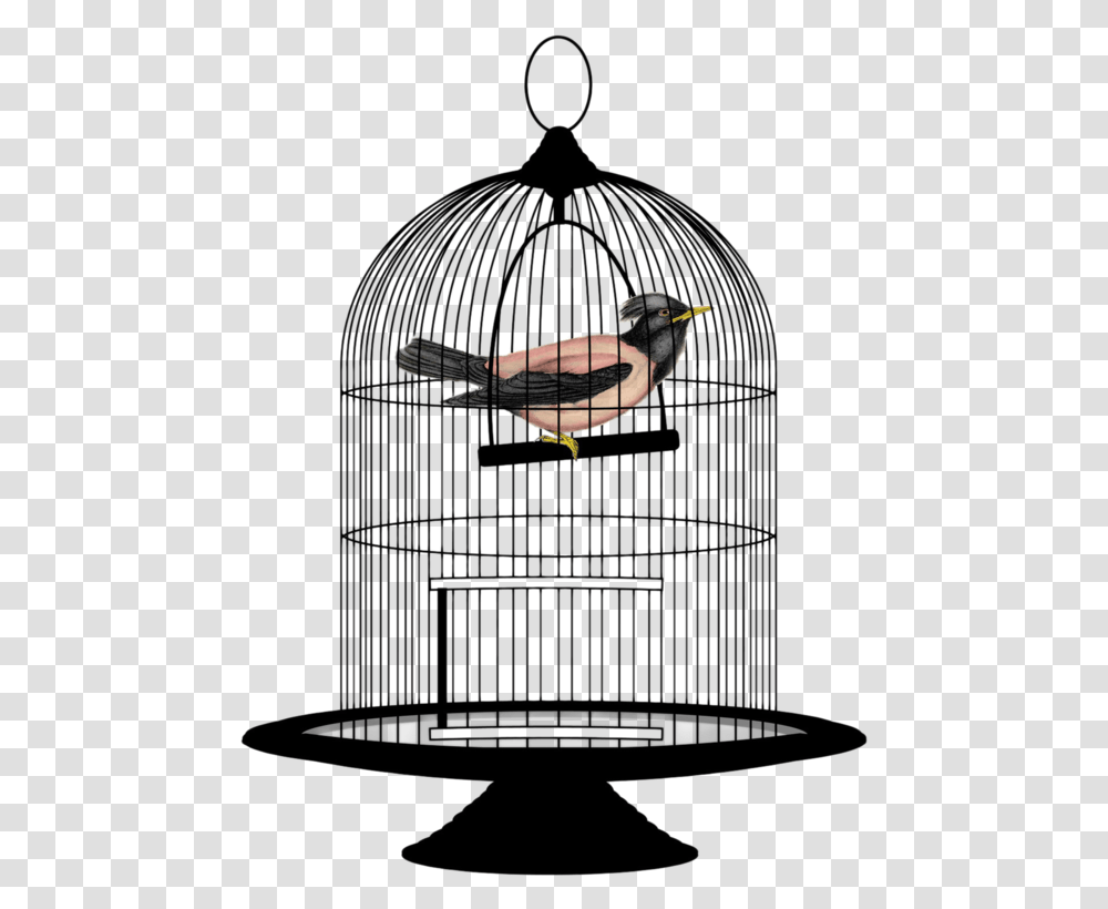 This File Is About Wires Clipart Cage Mesh Bird In A Cage, Animal, Metropolis, City, Urban Transparent Png