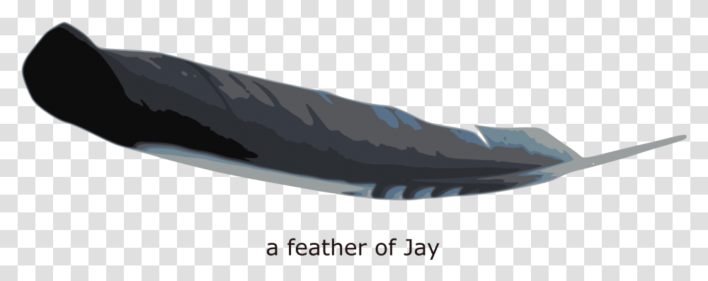 This Free Icons Design Of Feather Of Jay Illustration, Fish, Animal, Sea Life, Sturgeon Transparent Png