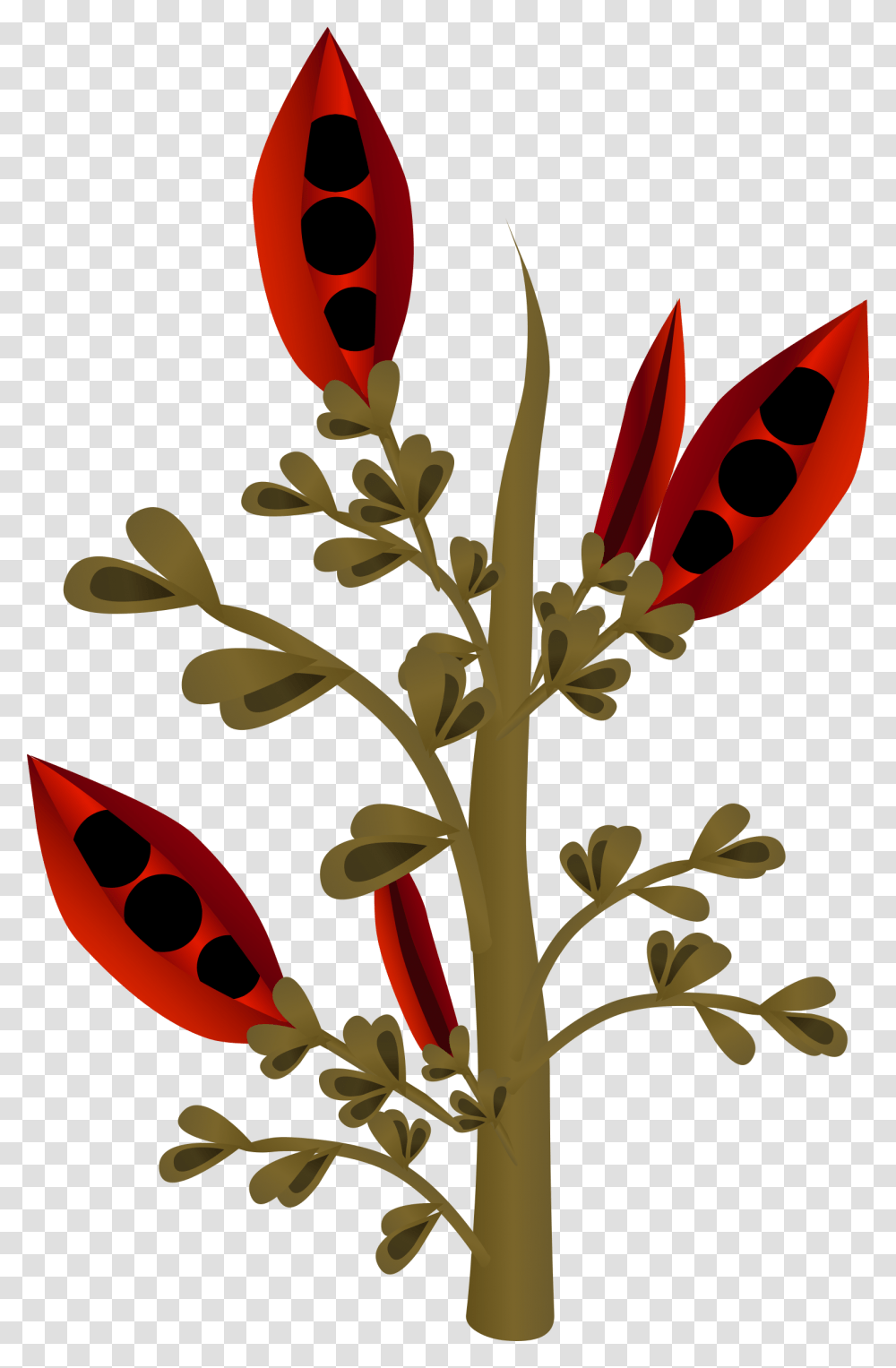 This Free Icons Design Of Firebog Firebean Plants, Flower, Blossom Transparent Png