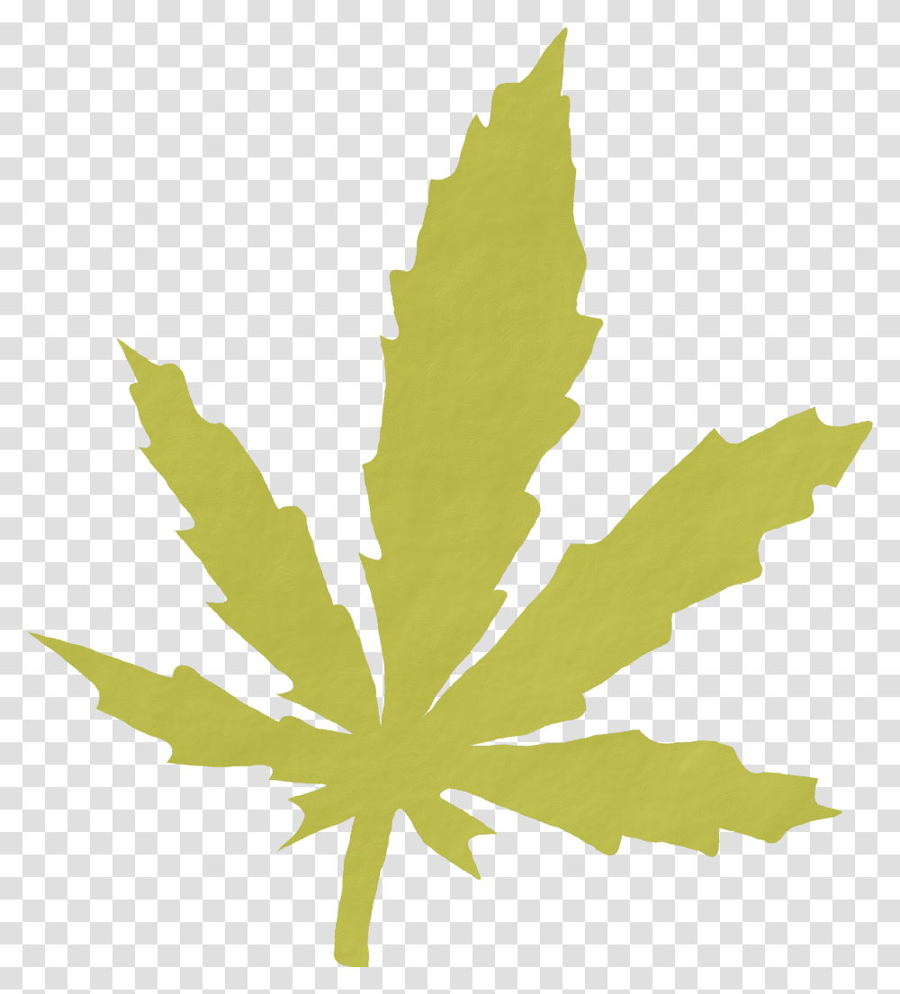 This Free Icons Design Of The Leaf Cannabis Leaf Bmp, Plant, Person, Human, Maple Leaf Transparent Png