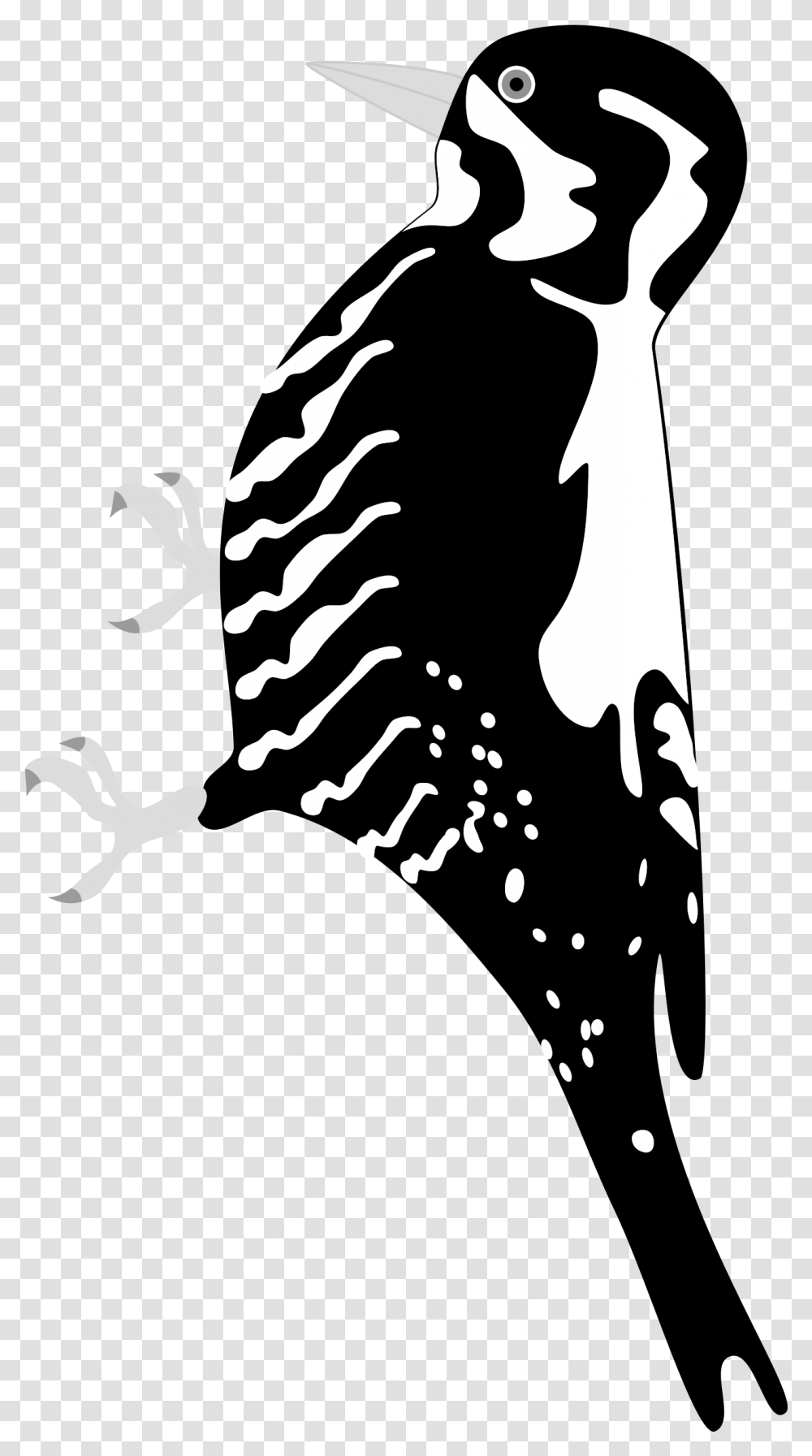 This Free Icons Design Of Three Toed Woodpecker Full Woodpecker On Tree, Stencil, Silhouette, Hand, Art Transparent Png