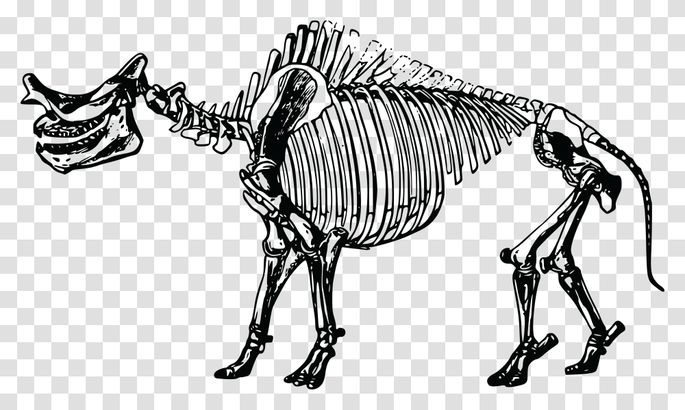 This Free Icons Design Of Titanotherium Skeleton Fossil Fuel Bones, Animal, Mammal, Dinosaur, Reptile Transparent Png