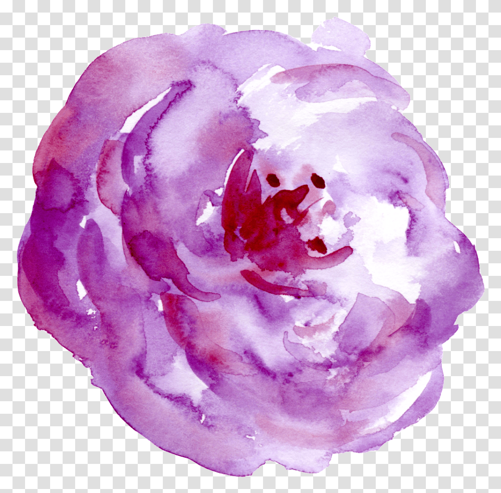 This Graphics Is Cloud Purple Flower Cartoon Watercolor Paint, Rose, Plant, Blossom, Crystal Transparent Png