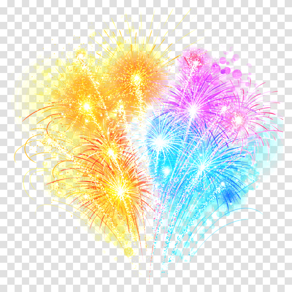 This Graphics Is Color Fireworks Effect Picture Juego Pirotecnicos, Flower, Plant, Blossom, Night Transparent Png