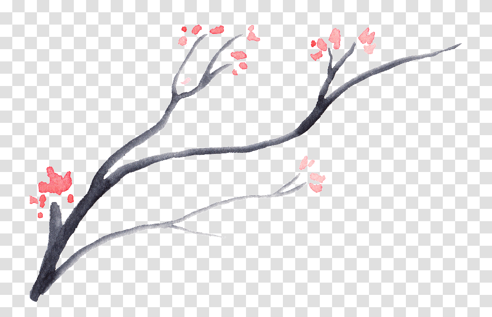 This Graphics Is Dead Wood Bloom Flower Cherry Blossom, Plant Transparent Png