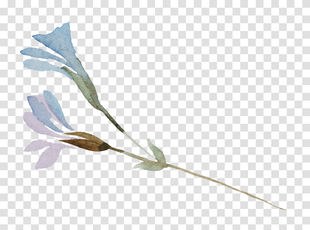 This Graphics Is Elf Flower Branch Cartoon Field Marigold, Plant, Blossom, Bird, Animal Transparent Png