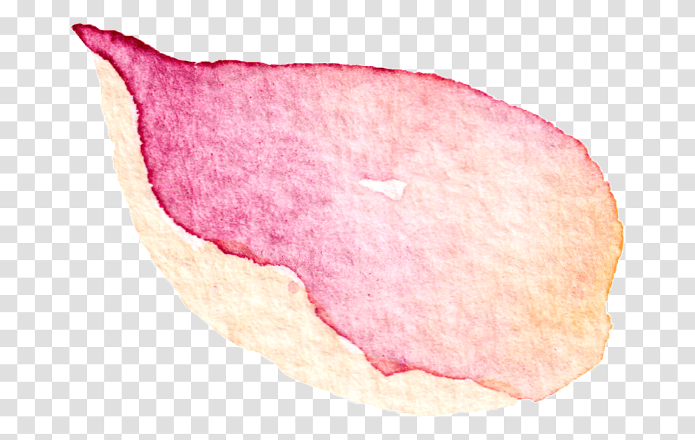 This Graphics Is Falling Petals Decorative Peach, Rug, Bread, Food, Flower Transparent Png
