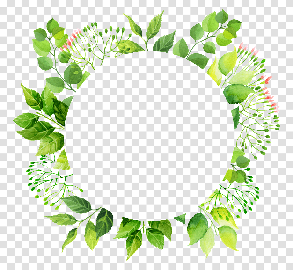 This Graphics Is Green Circle Frame Green Flower Frame Circle Green, Wreath, Plant Transparent Png