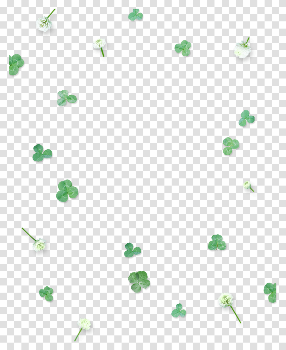 This Graphics Is Green Cute Four Leaf Clover Floating Poster, Paper, Plant, Petal Transparent Png