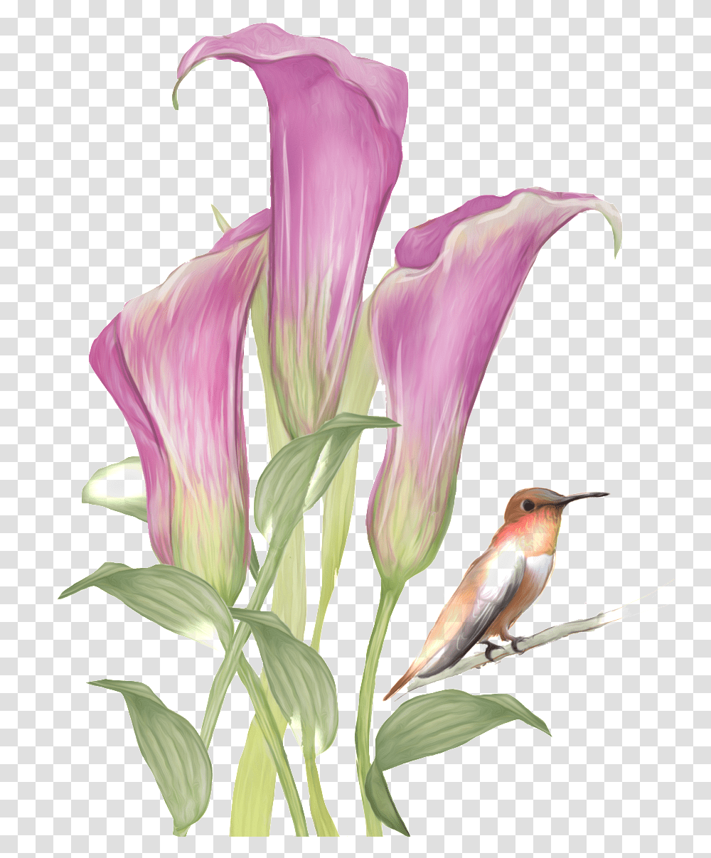 This Graphics Is Hand Drawn Flowers And Birds Pattern Drawn Flowers With Birds, Animal, Plant, Blossom, Petal Transparent Png
