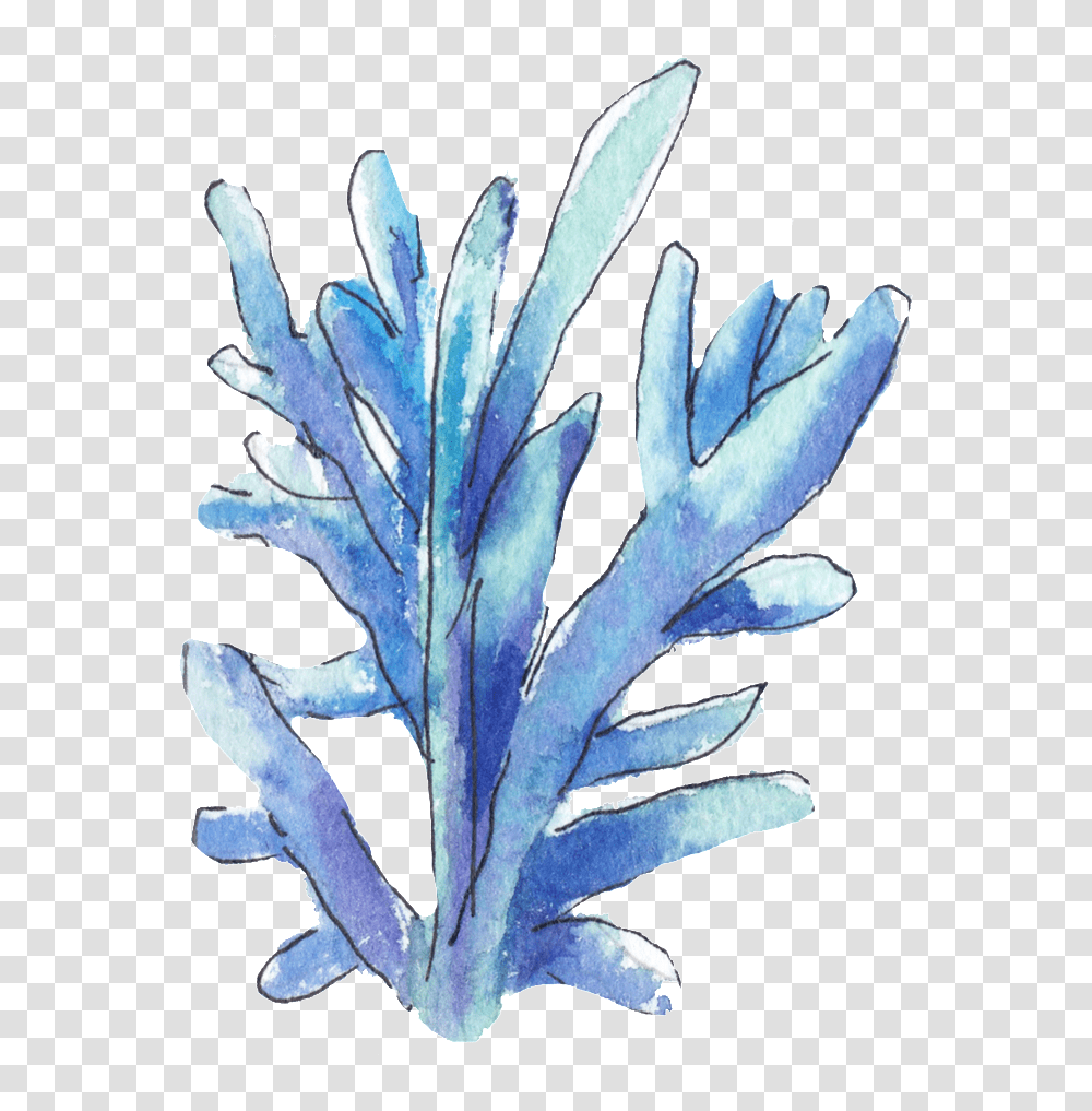 This Graphics Is Hand Painted A Blue Coral, Leaf, Plant, Seed, Grain Transparent Png